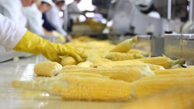 Steamy Family Drama - Busty Stepmom Satisfies Her Needs